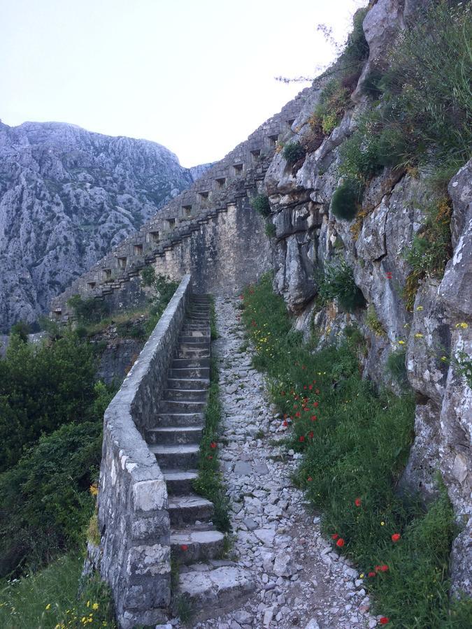 Chic & Stylish With Seaview-Terrace - Kotor Indah Leilighet Eksteriør bilde